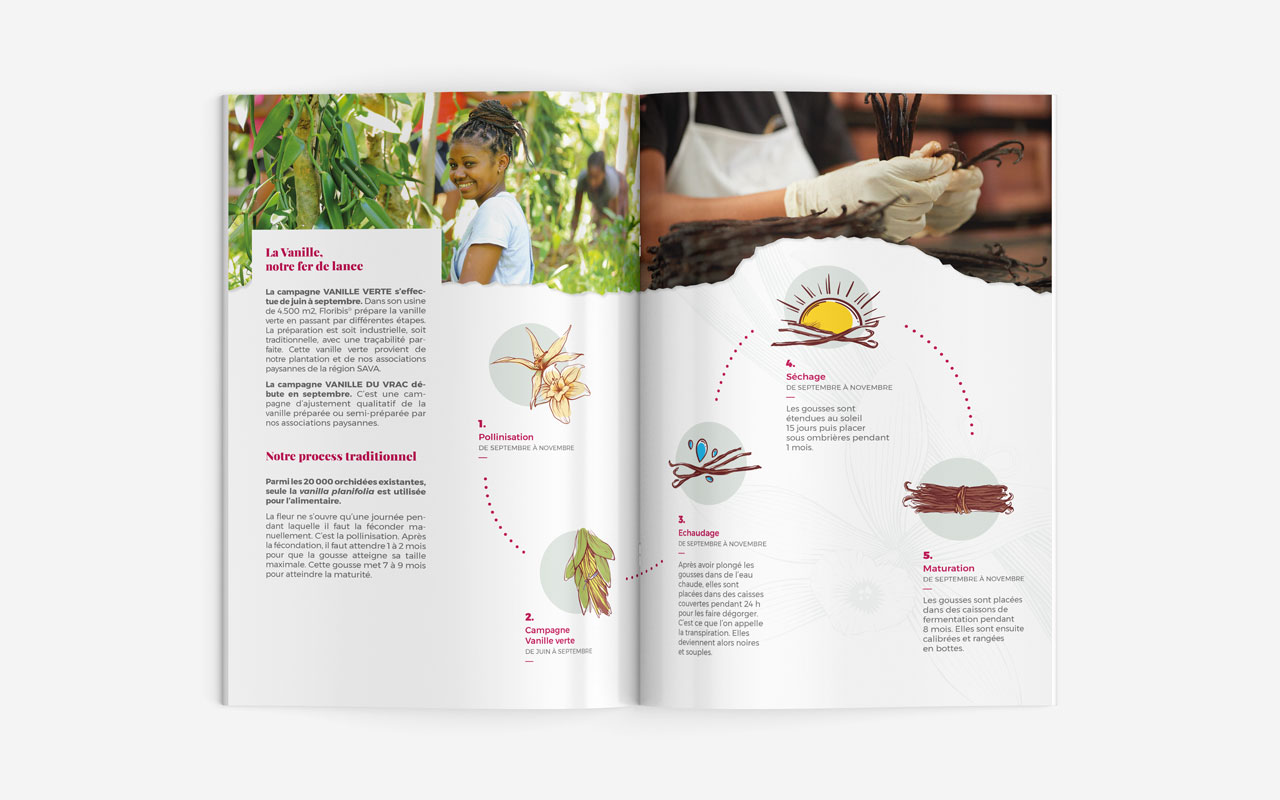 Brochure présentation vanille Floribis page cycle vanille